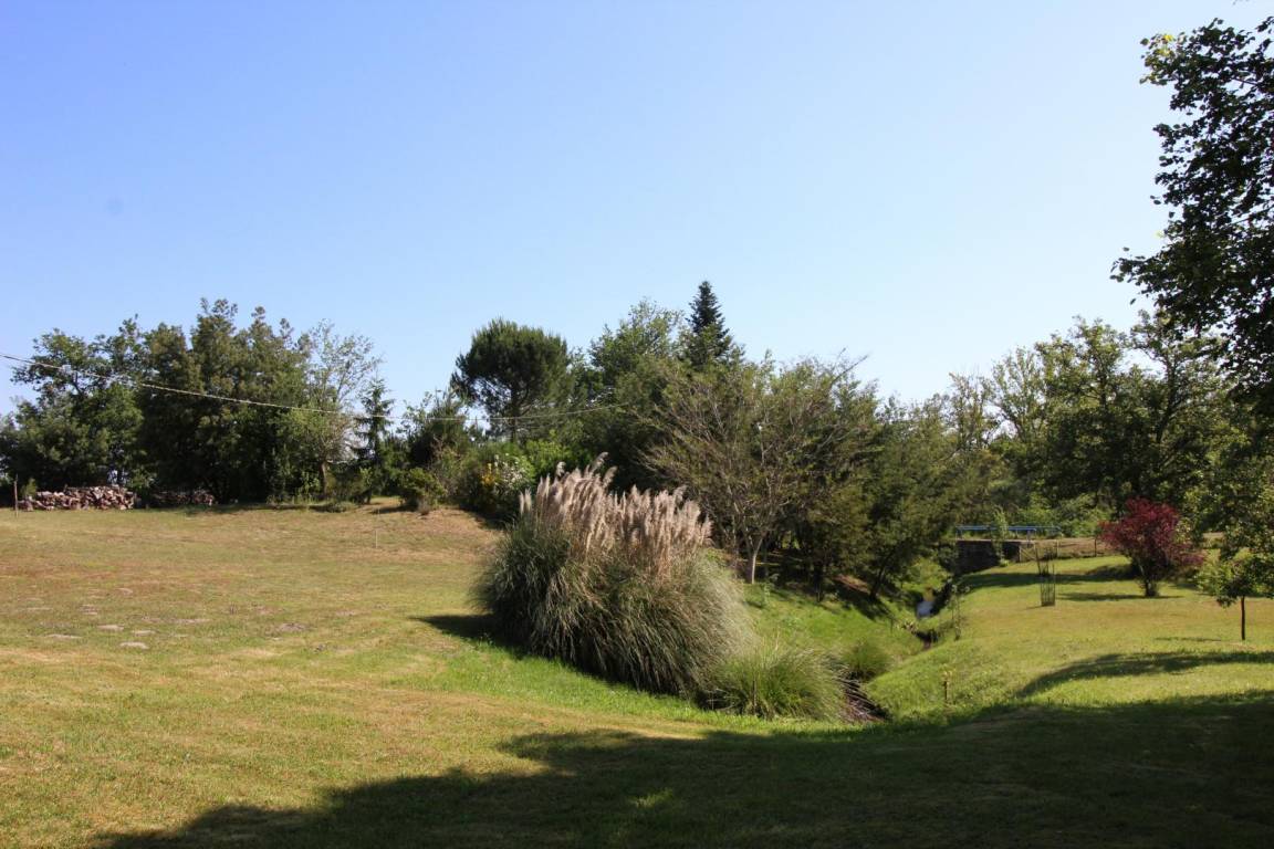 foto8