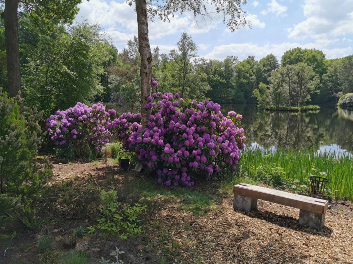 foto23