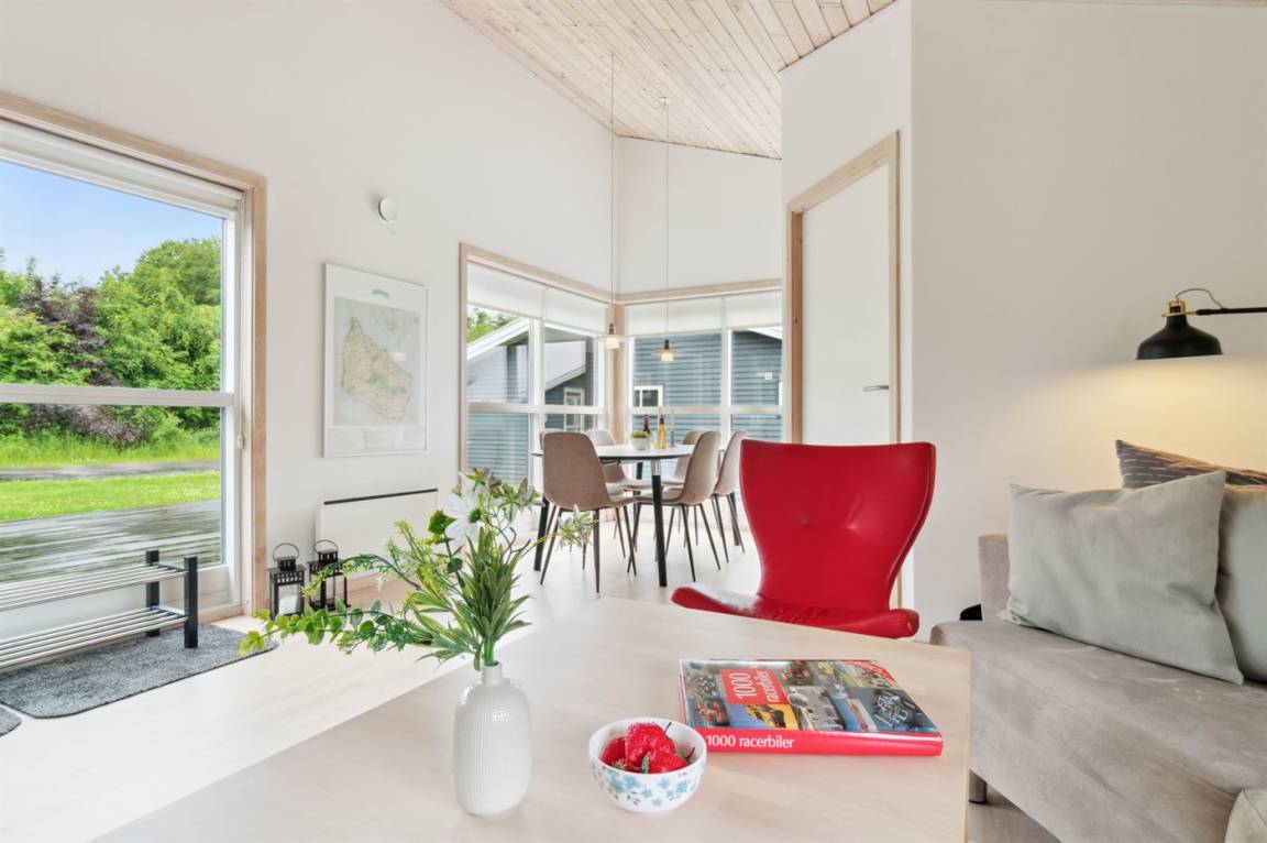 foto2