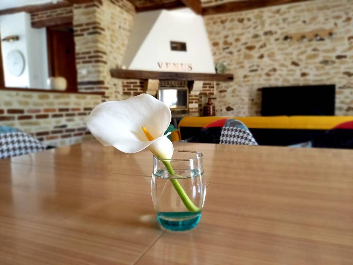 foto18