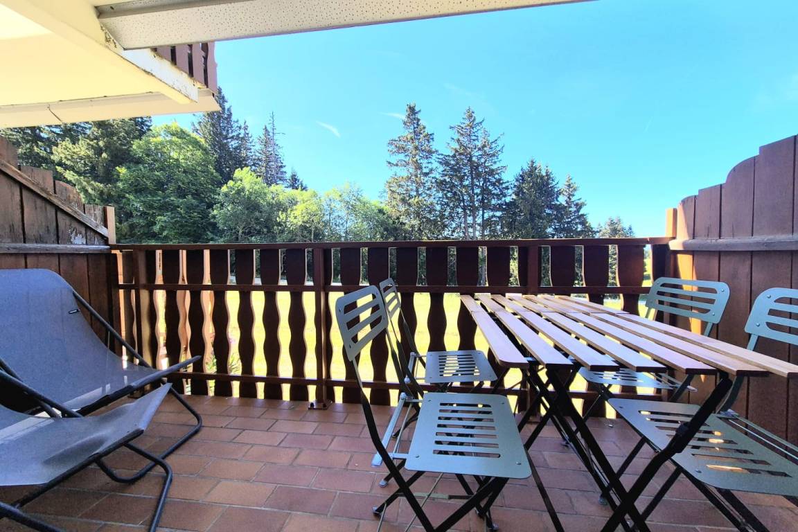 24 M² Appartement ∙ 1 Chambre ∙ 4 Personnes - Lescheraines