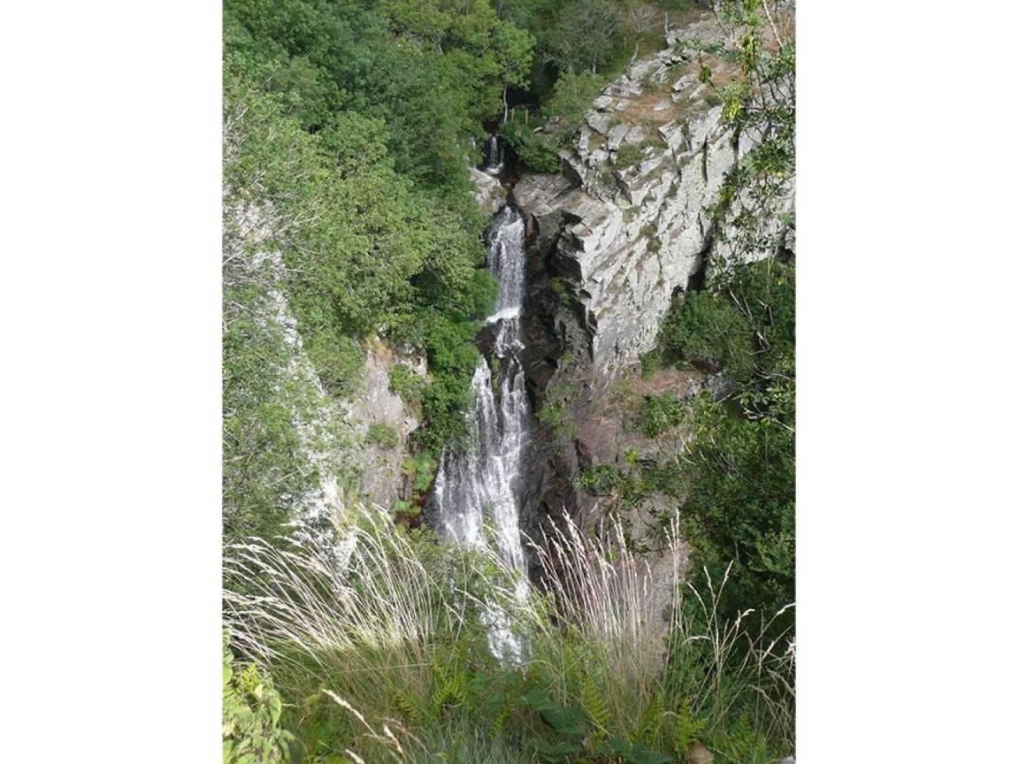 foto19