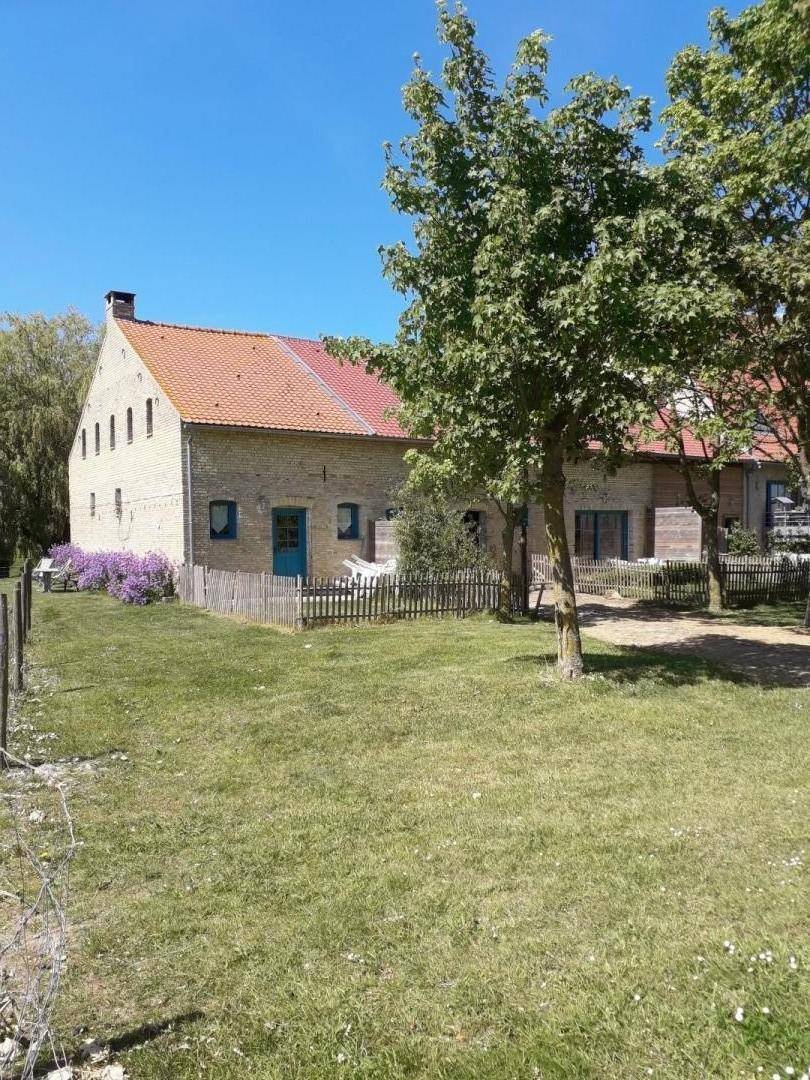 foto29