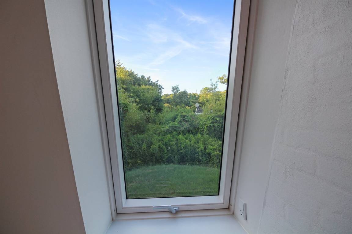 foto16