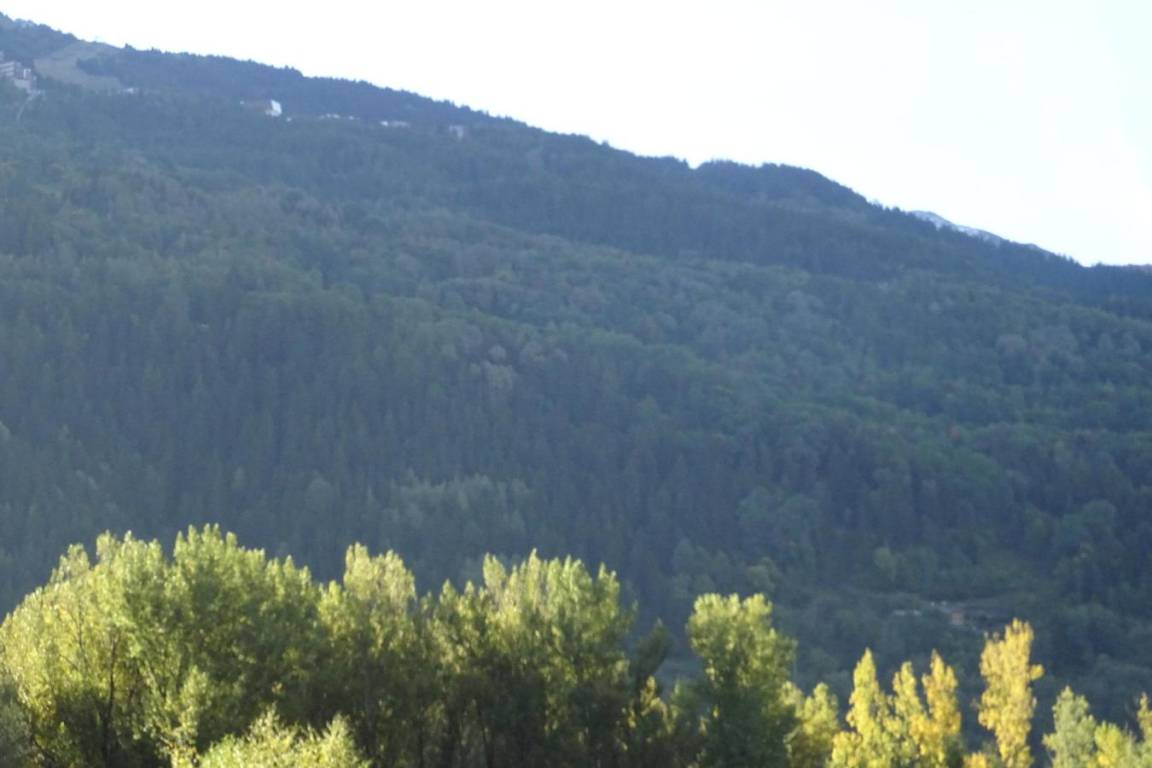 foto7