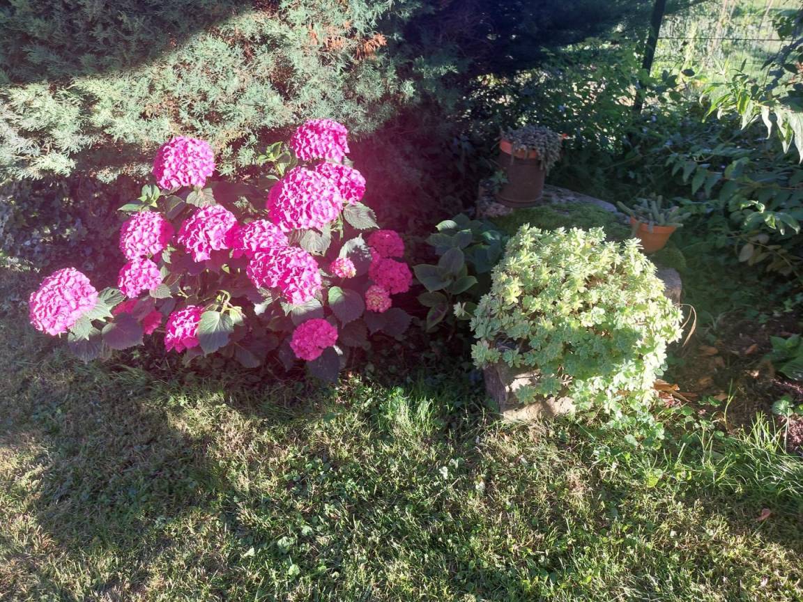 foto23