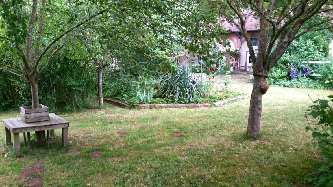 foto17