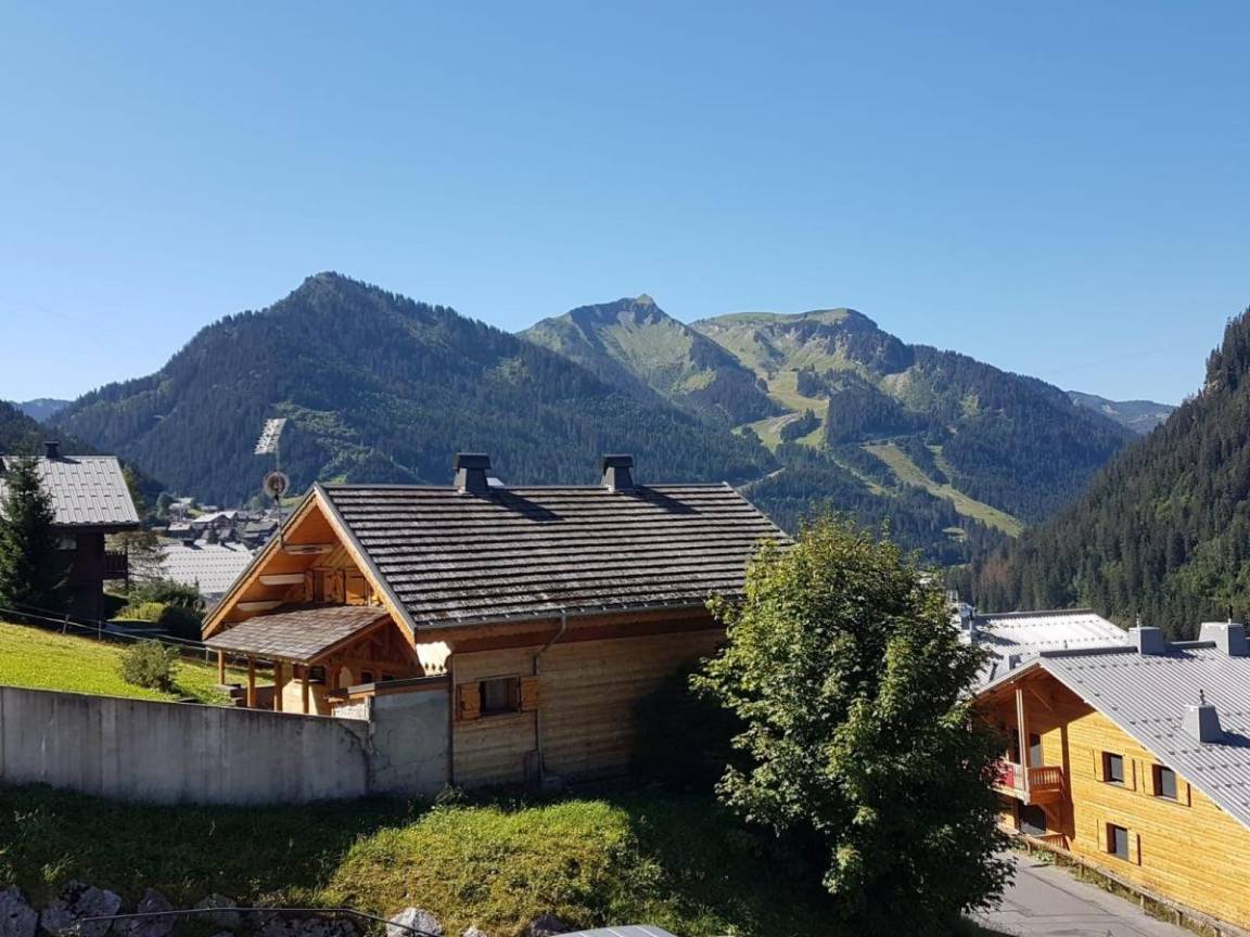 foto1
