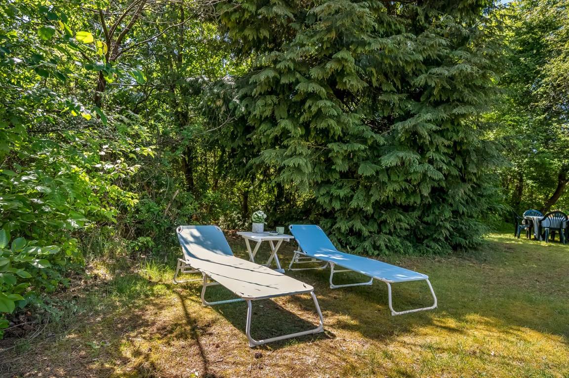 foto26