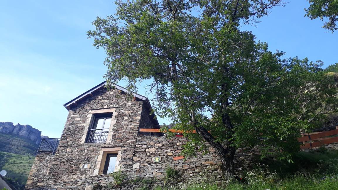 foto19