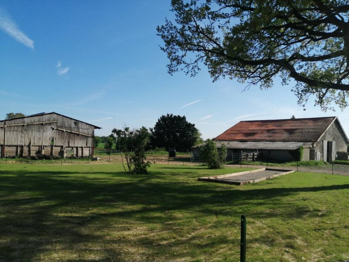foto12