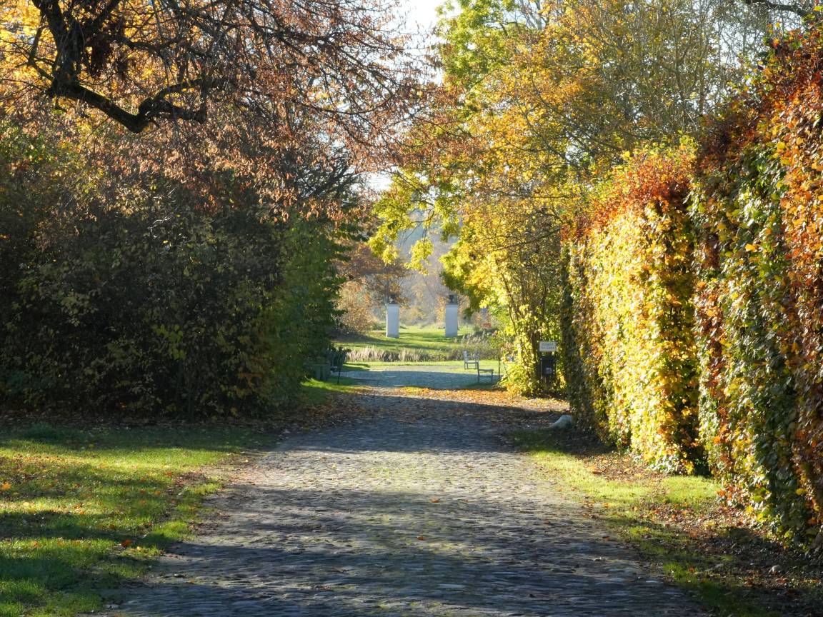 foto15