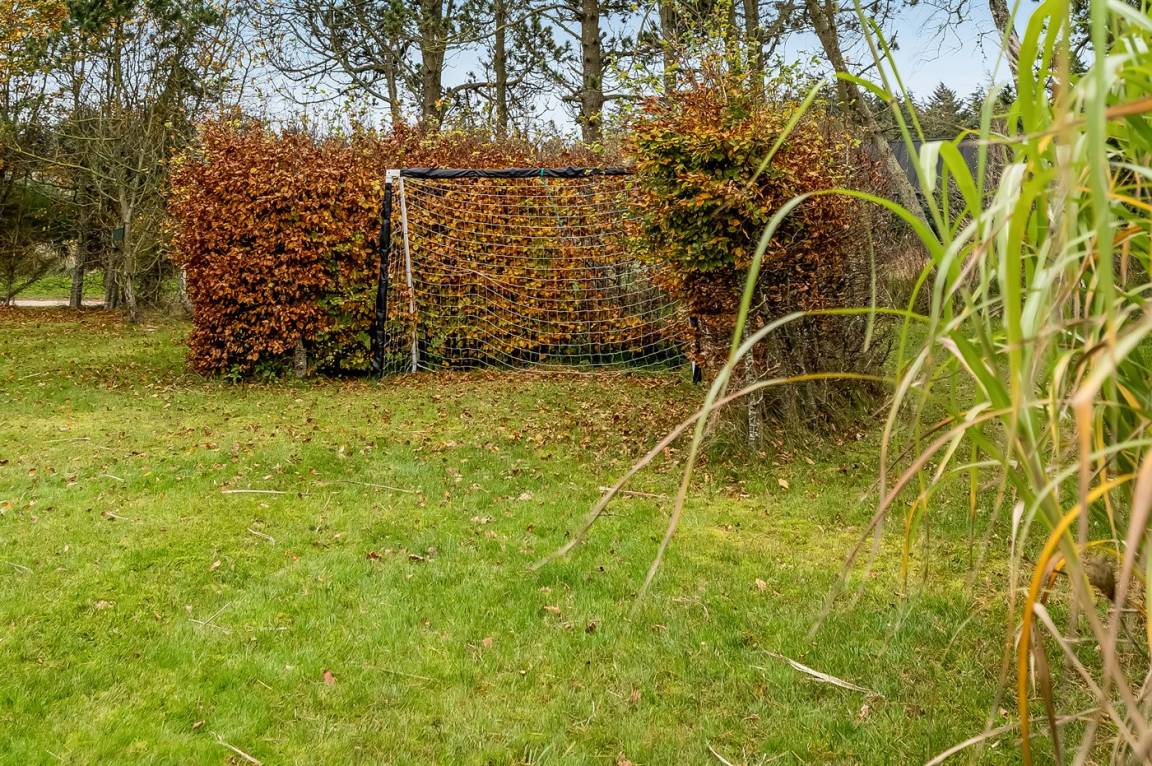 foto21