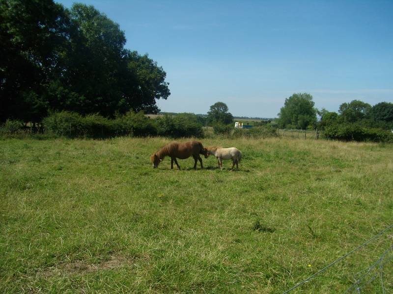 foto15