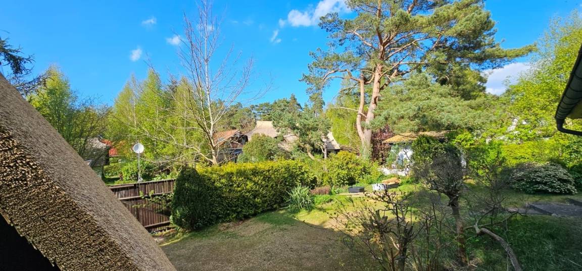 foto29