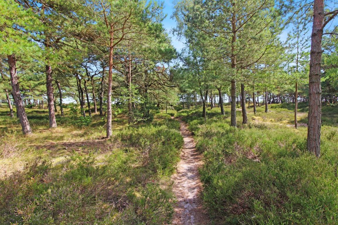 foto21