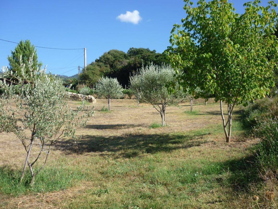 foto32