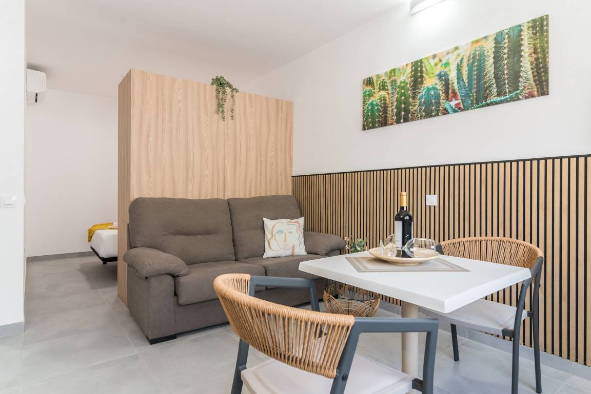25 M² Apartment ∙ 1 Bedroom ∙ 2 Guests - Gran Canaria