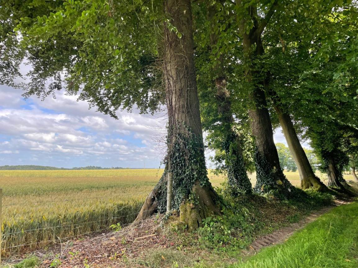 foto17