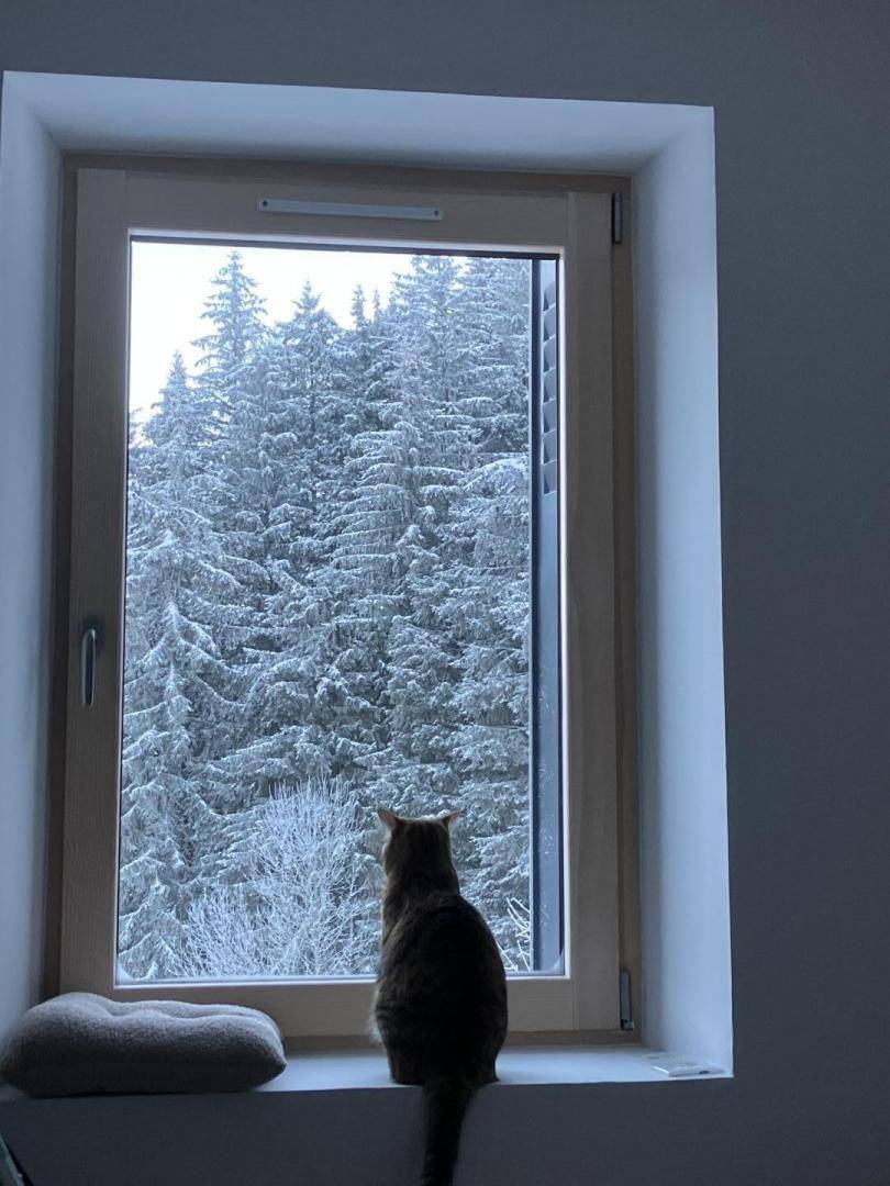 foto29