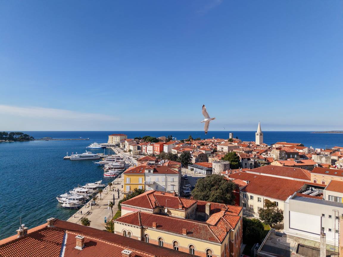 25 M² Ferienwohnung ∙ 1 Schlafzimmer ∙ 2 Gäste - Poreč