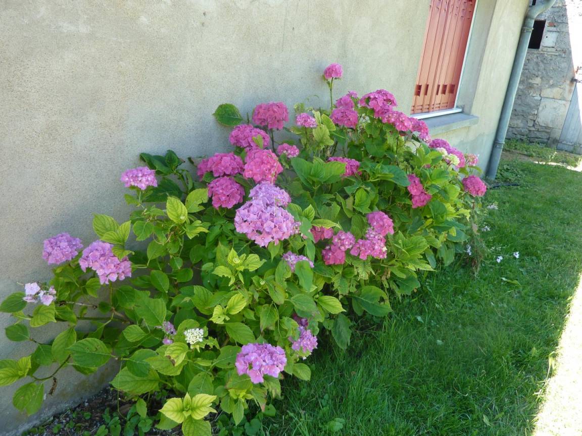 foto15