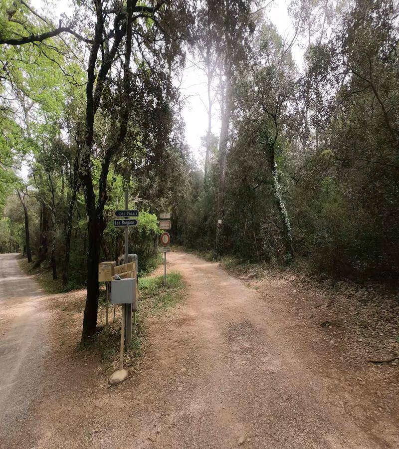 foto16