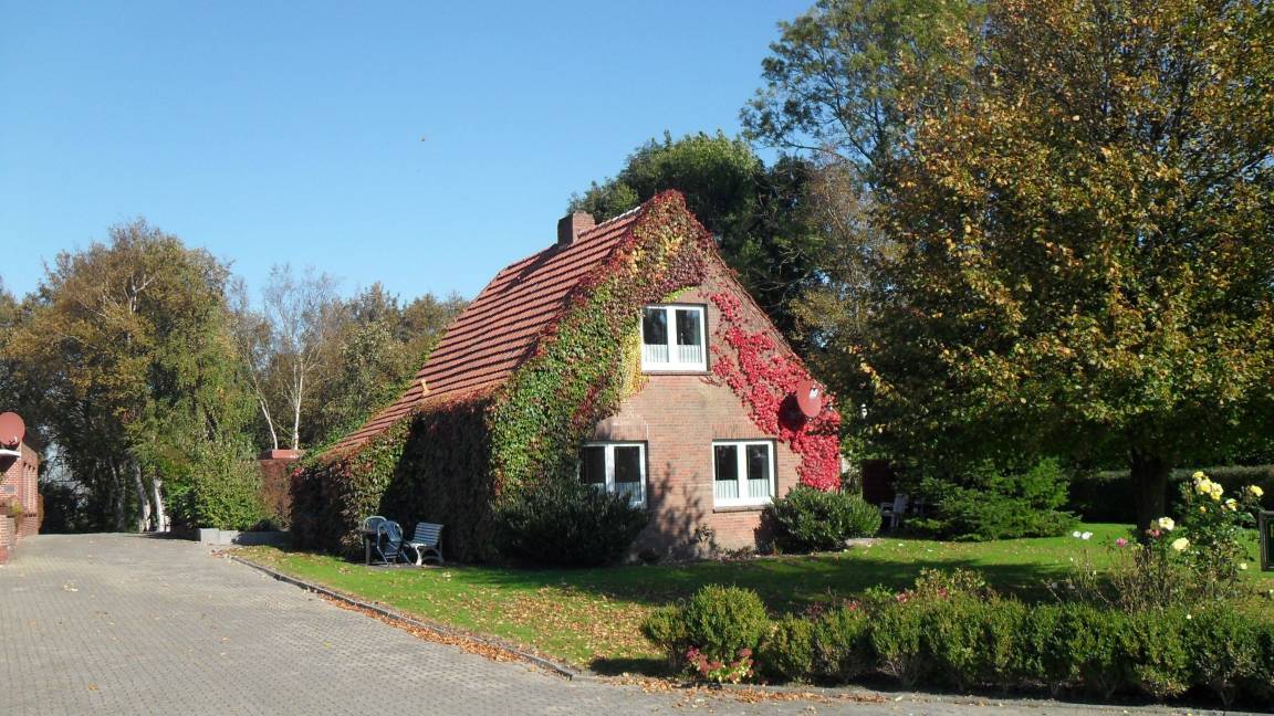 35 m² Ferienwohnung ∙ 1 Schlafzimmer ∙ 2 Gäste – Bild 9