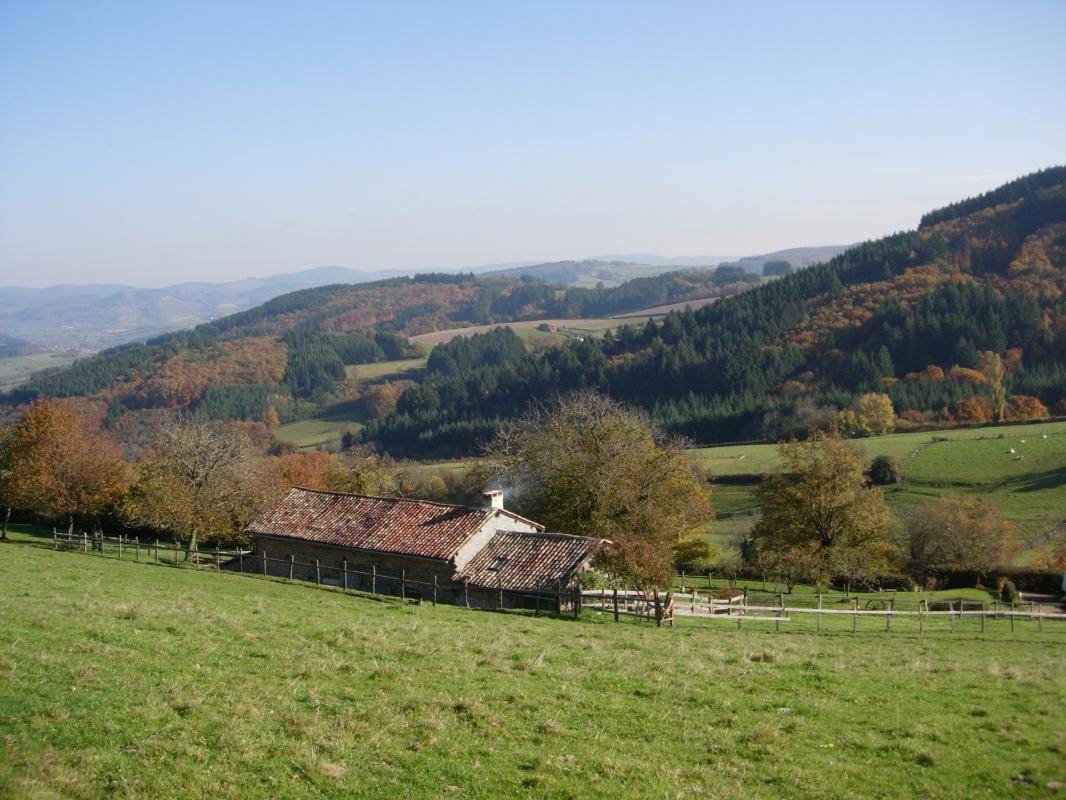 foto1