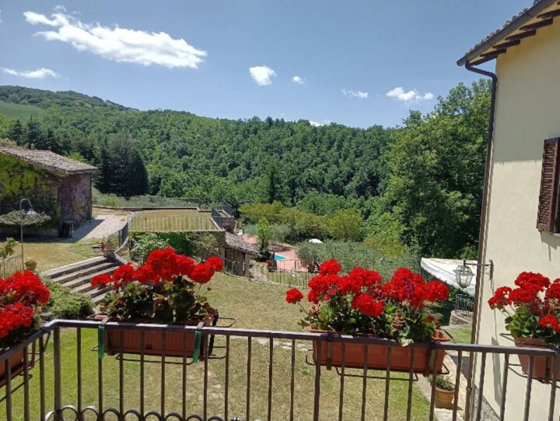foto19