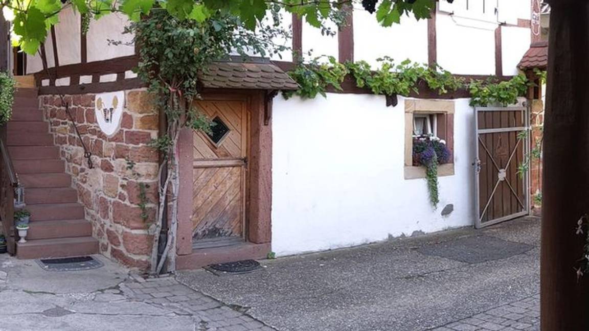42 M² Ferienwohnung ∙ 1 Schlafzimmer ∙ 2 Gäste - Bad Bergzabern
