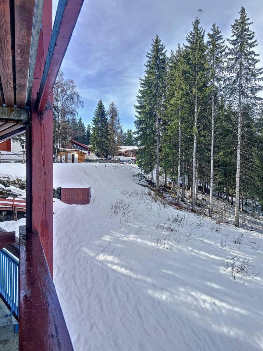 foto21