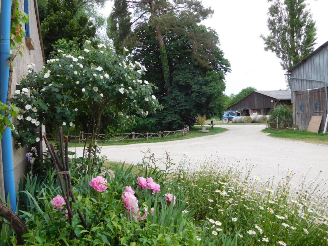18 M² Chambre D'hôtes ∙ 1 Chambre ∙ 2 Personnes - Bourges