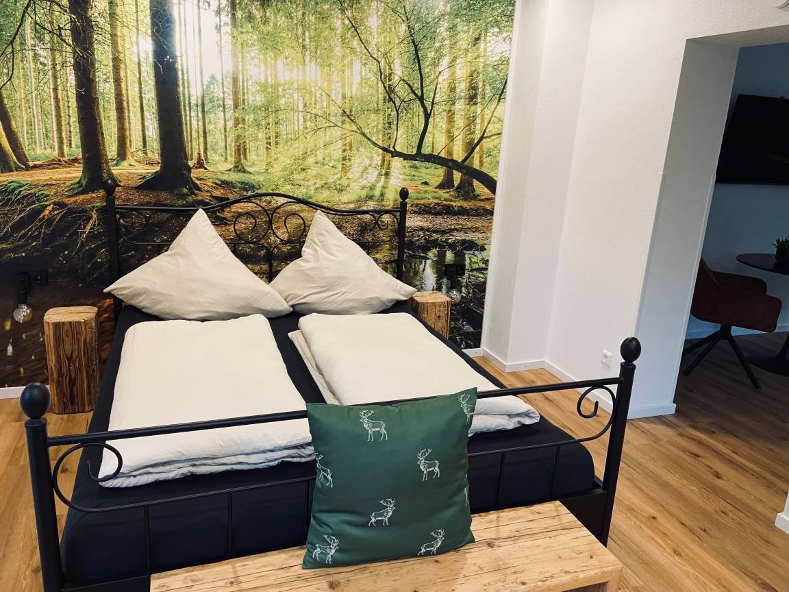 40 M² Ferienwohnung ∙ 1 Schlafzimmer ∙ 2 Gäste - Nagold