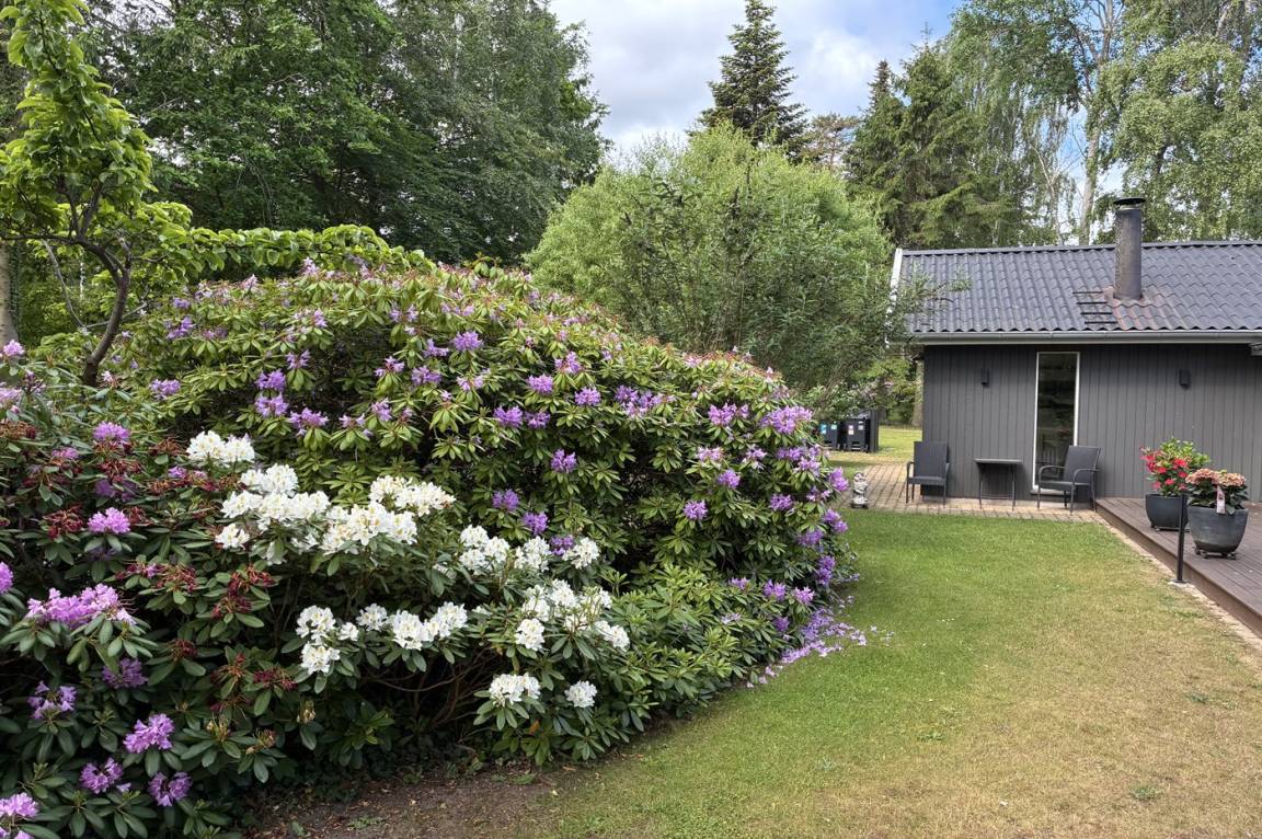 foto20