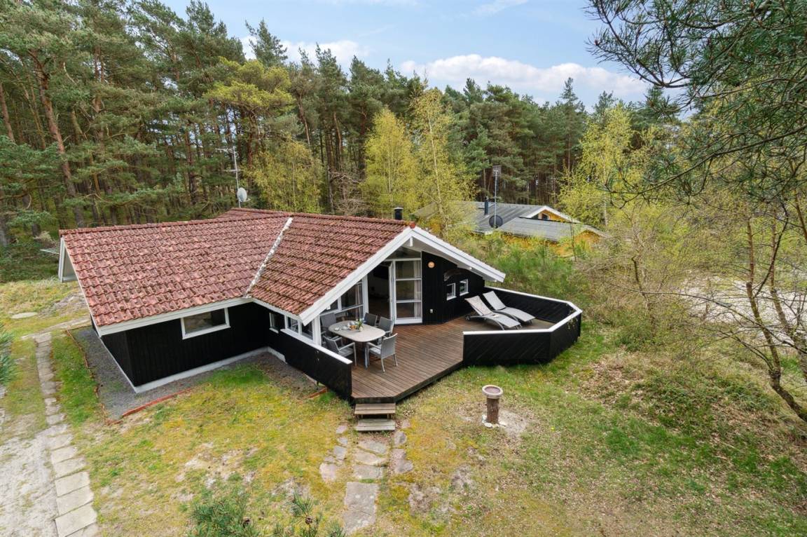 foto1