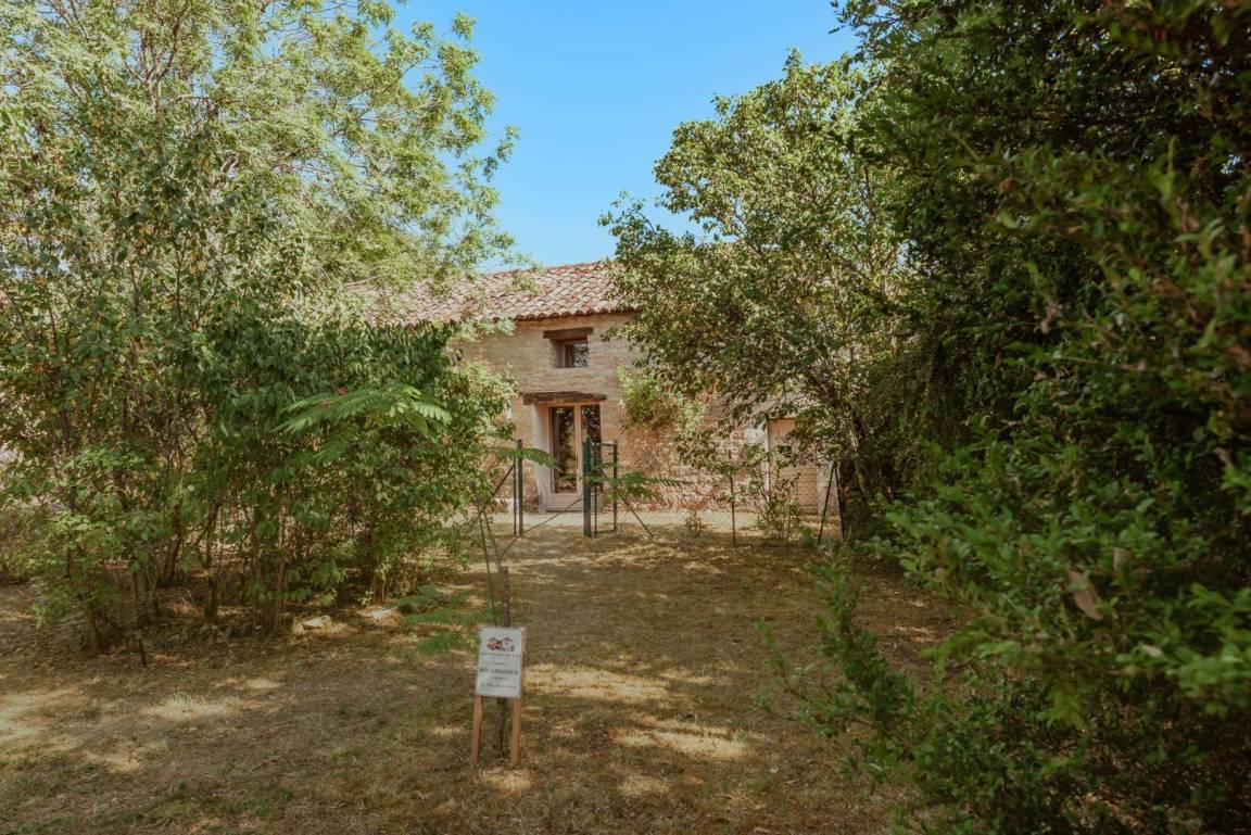 foto42