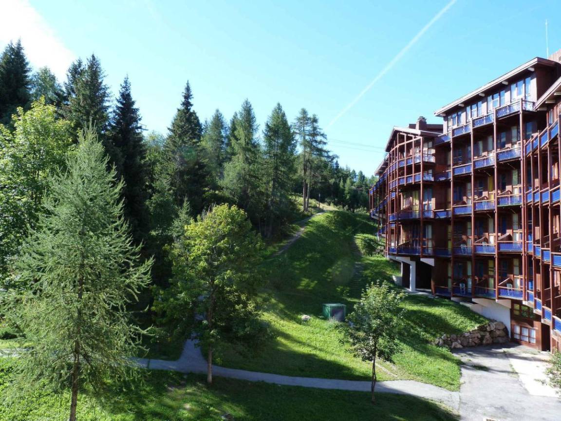 foto2