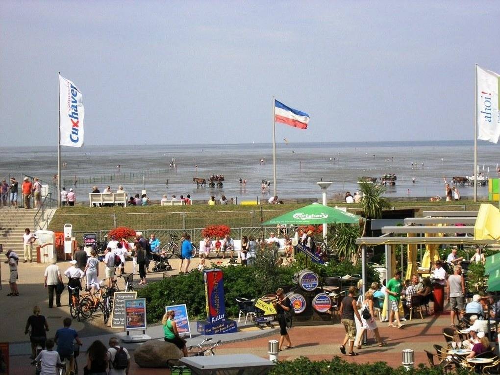 foto7