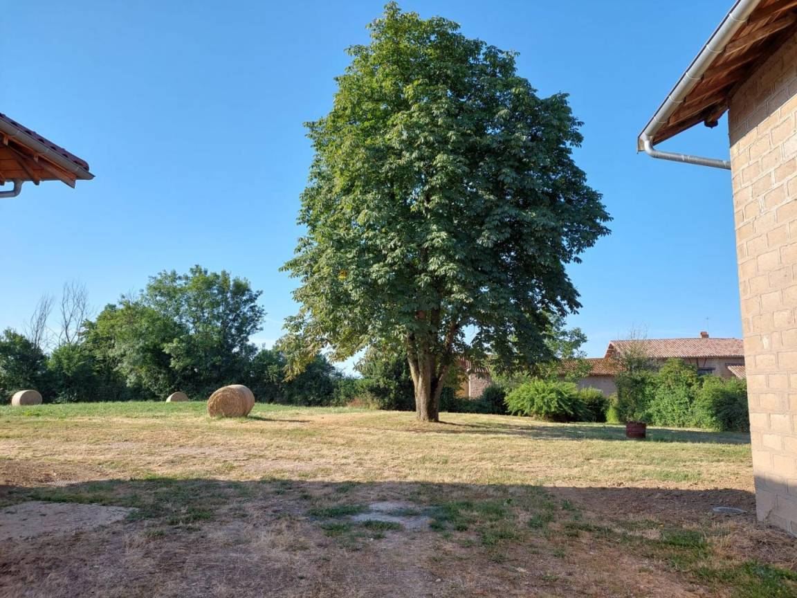 foto37