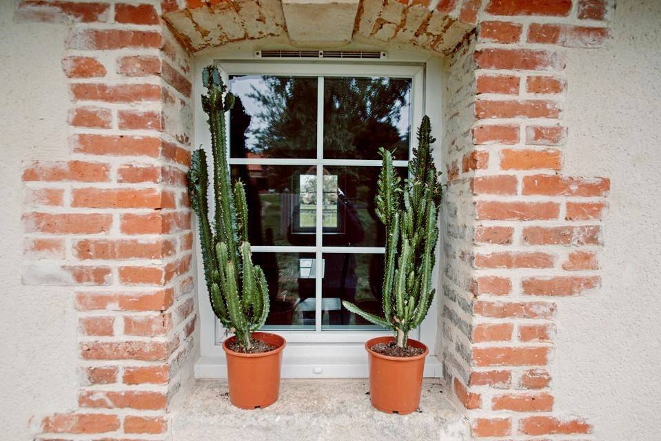 foto18