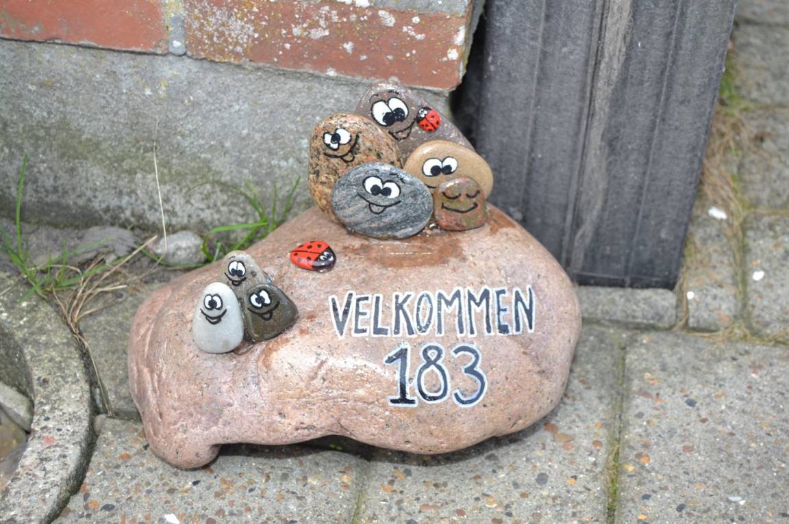 foto19