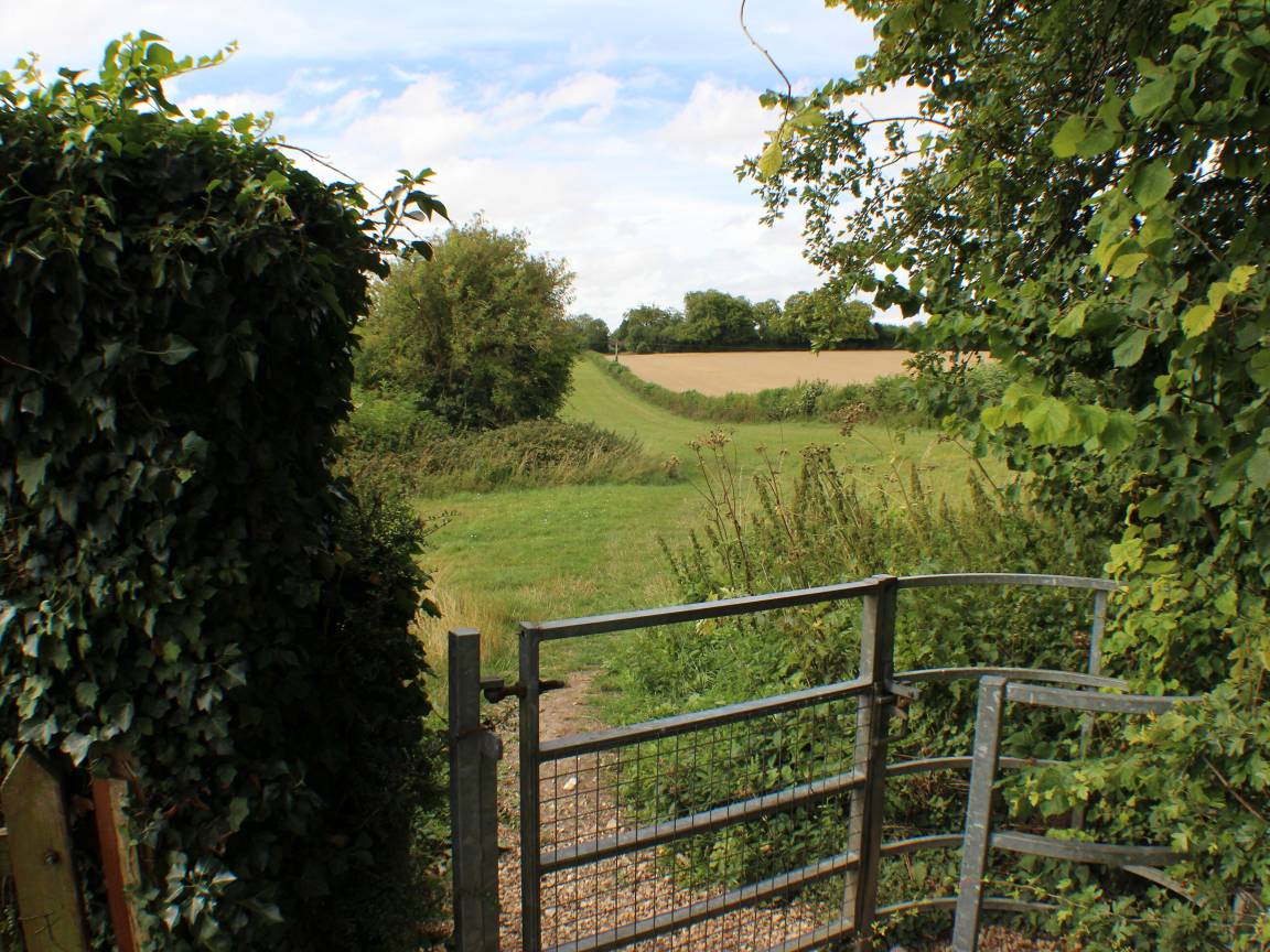 Broomley Cottage — photo 16