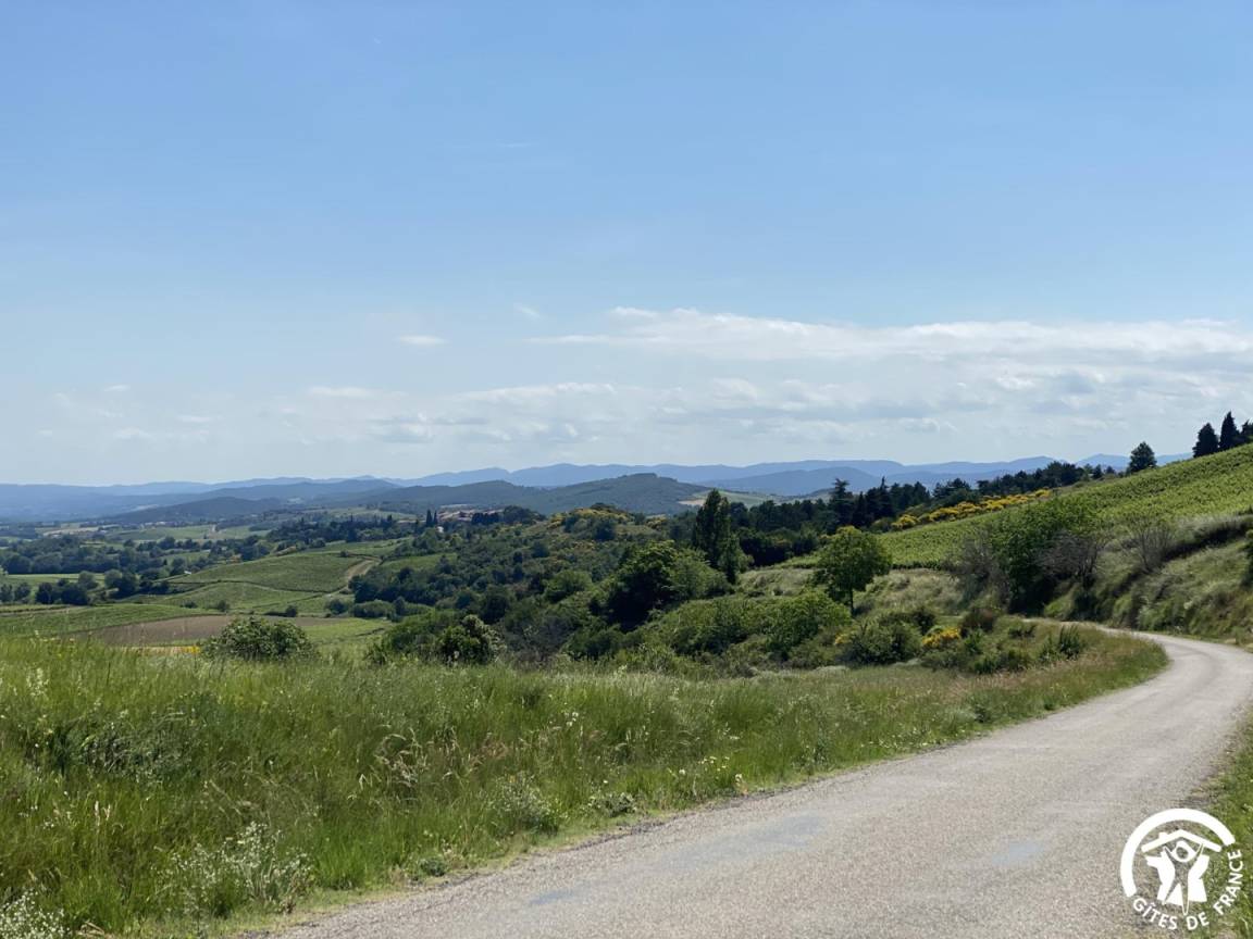 foto40
