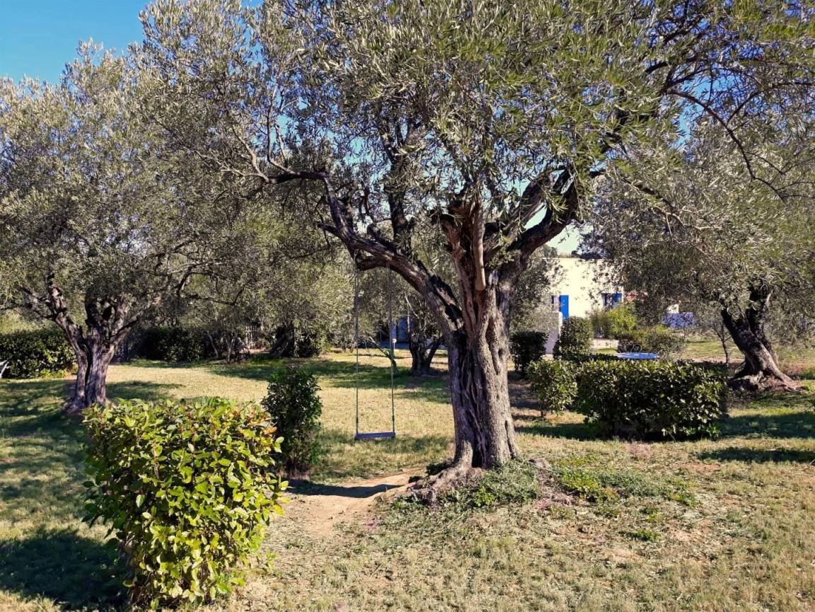 foto14