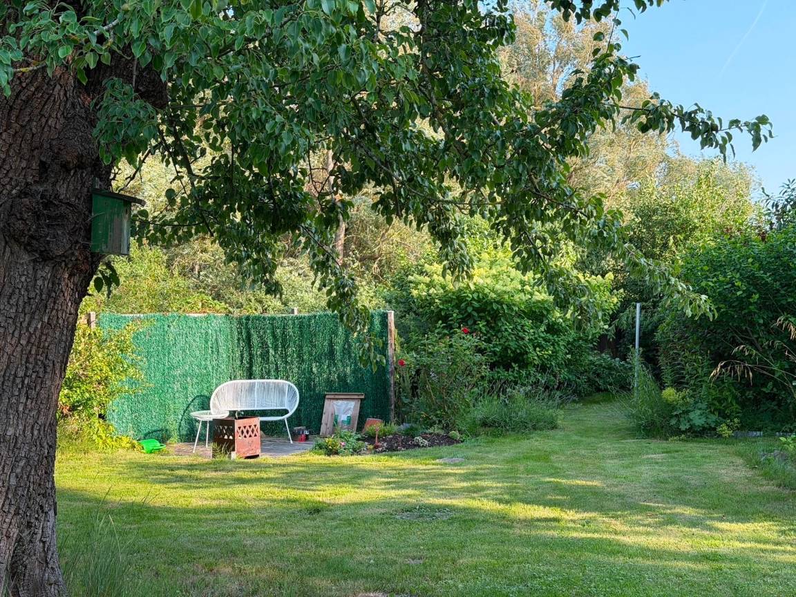 foto34