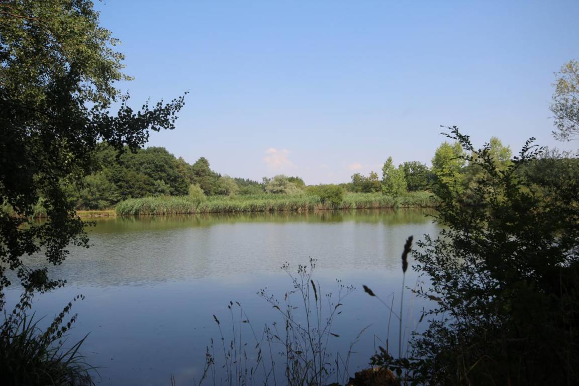 foto17