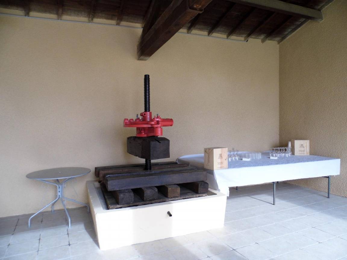 foto10