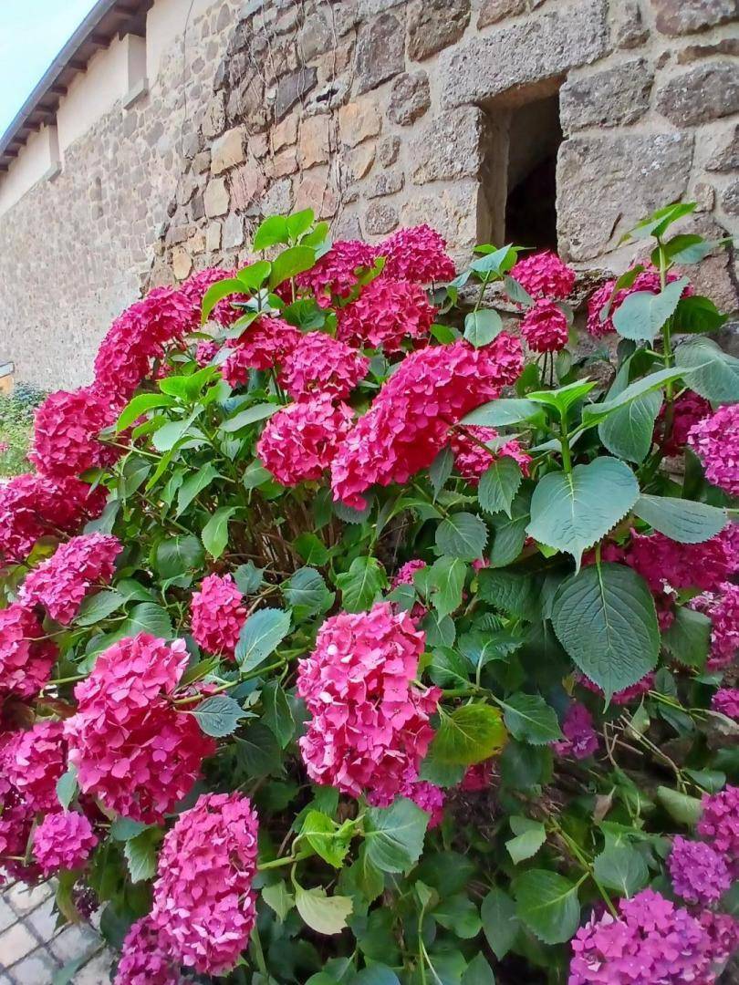 foto30