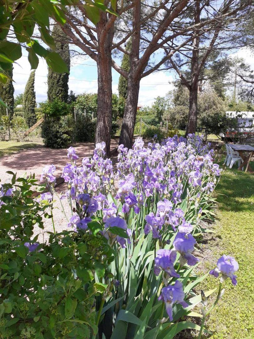 foto17
